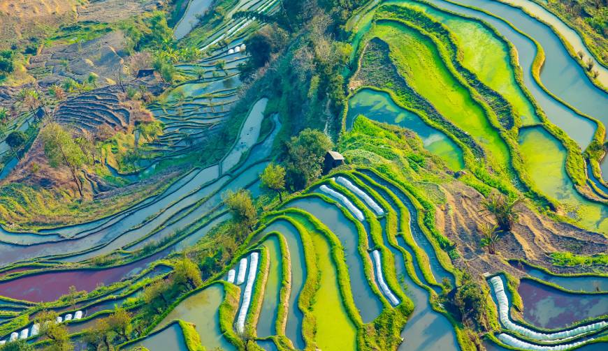 宝妈必备神器：自流井区产品视频拍摄轻松育儿好帮手