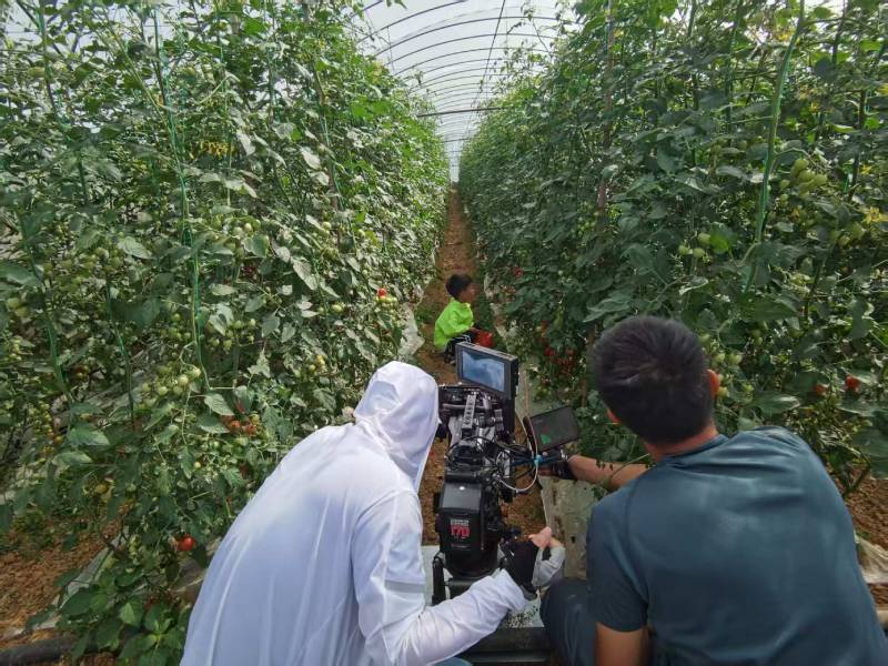 自流井区产品宣传视频拍摄公司进阶指南，助力品牌抢占传播高地